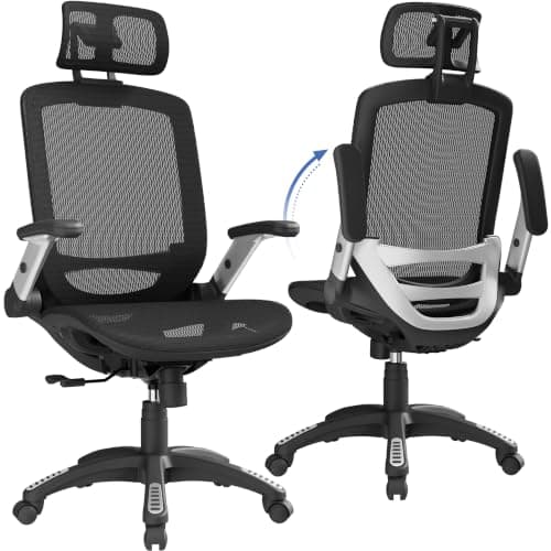 GABRYLLY Ergonomic Mesh Office Chair