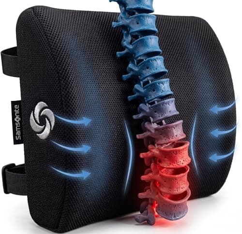 Samsonite Lumbar Support Pillow
